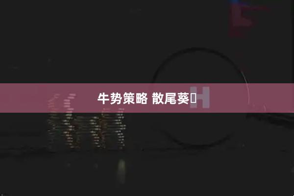 牛势策略 散尾葵‌